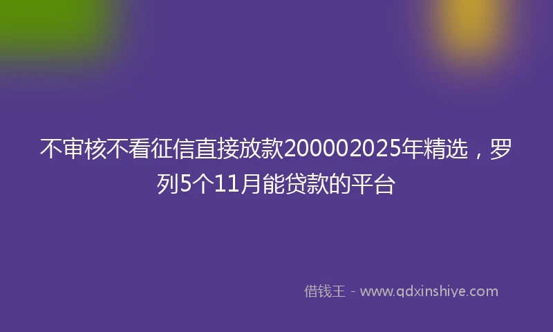 不审核不看征信直接放款200002025年精选，罗列5个11月能贷款的平台