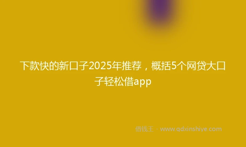 下款快的新口子2025年推荐，概括5个网贷大口子轻松借app