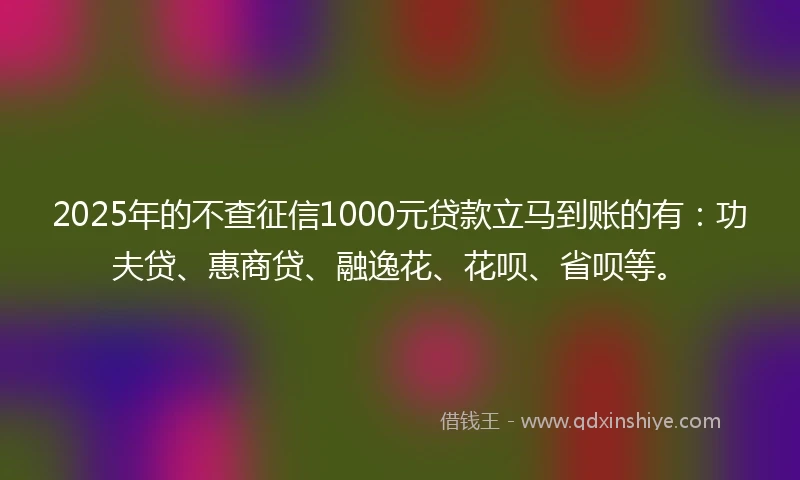 2025年的不查征信1000元贷款立马到账的有：功夫贷、惠商贷、融逸花、花呗、省呗等。