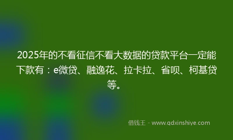 2025年的不看征信不看大数据的贷款平台一定能下款有：e微贷、融逸花、拉卡拉、省呗、柯基贷等。