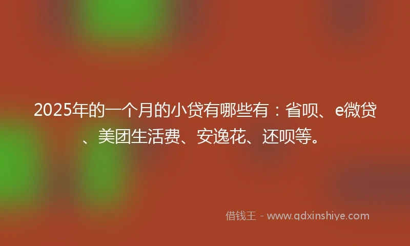 2025年的一个月的小贷有哪些有：省呗、e微贷、美团生活费、安逸花、还呗等。
