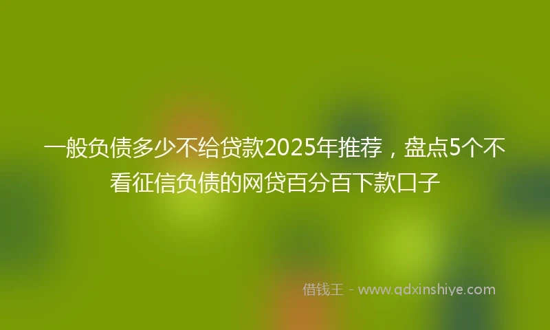 一般负债多少不给贷款2025年推荐，盘点5个不看征信负债的网贷百分百下款口子