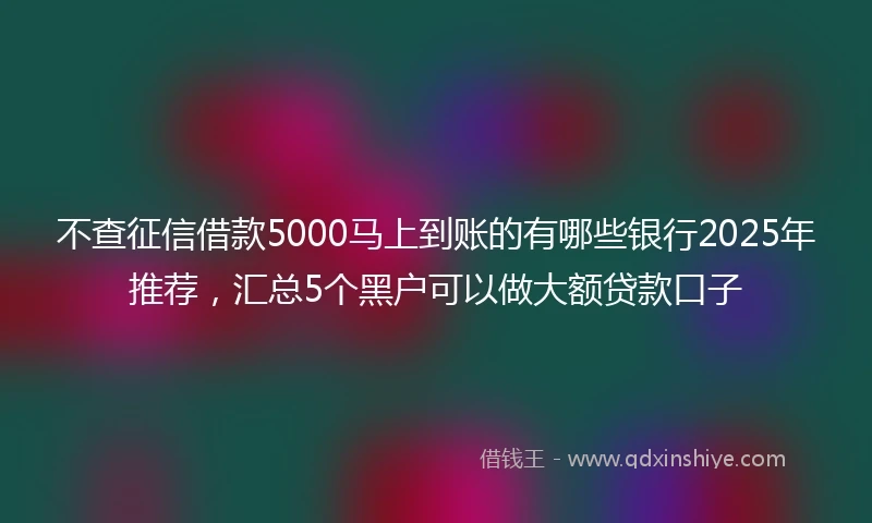 不查征信借款5000马上到账的有哪些银行2025年推荐，汇总5个黑户可以做大额贷款口子
