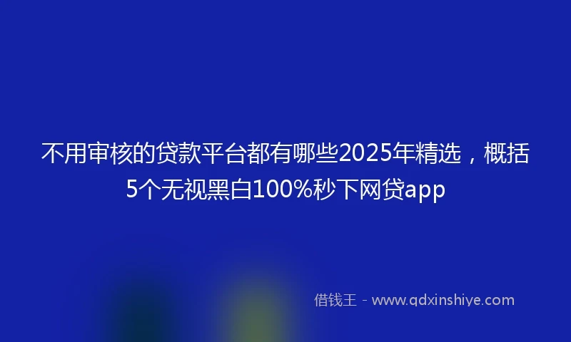 不用审核的贷款平台都有哪些2025年精选，概括5个无视黑白100%秒下网贷app