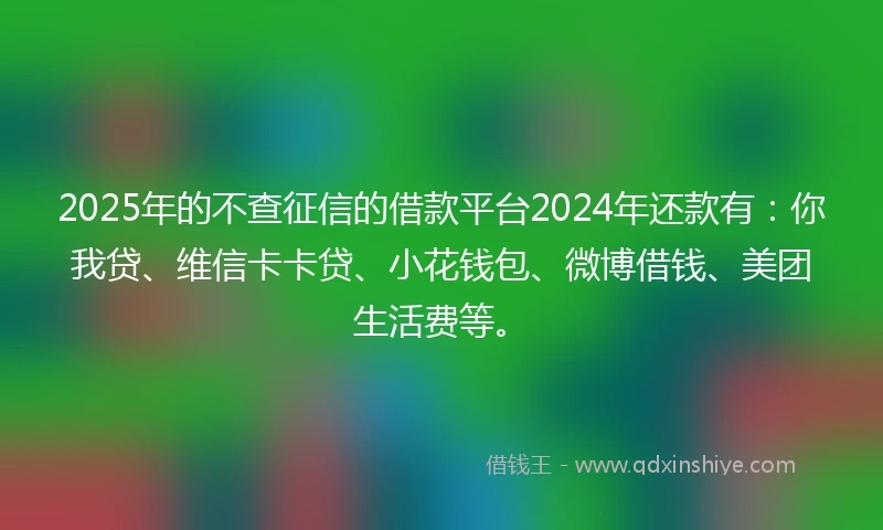 2025年的不查征信的借款平台2024年还款有：你我贷、维信卡卡贷、小花钱包、微博借钱、美团生活费等。