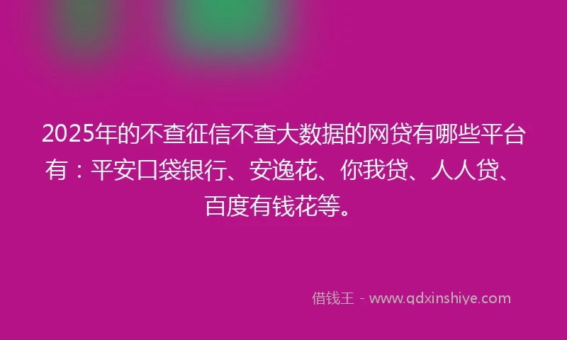 2025年的不查征信不查大数据的网贷有哪些平台有：平安口袋银行、安逸花、你我贷、人人贷、百度有钱花等。