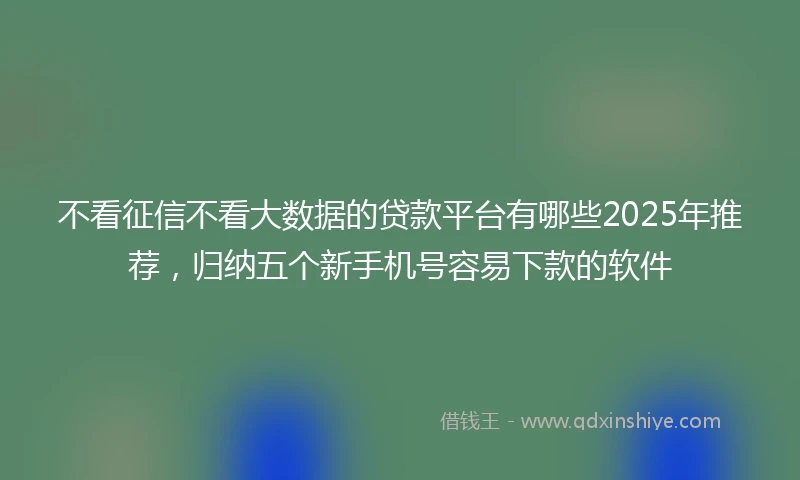 不看征信不看大数据的贷款平台有哪些2025年推荐，归纳五个新手机号容易下款的软件