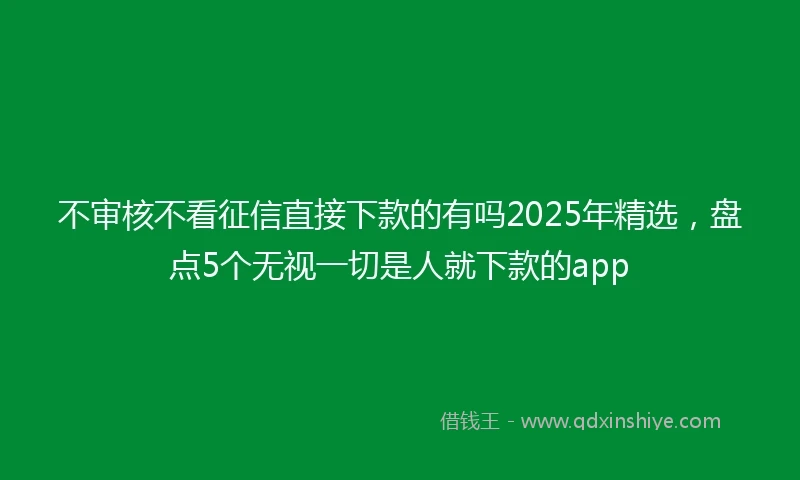 不审核不看征信直接下款的有吗2025年精选，盘点5个无视一切是人就下款的app
