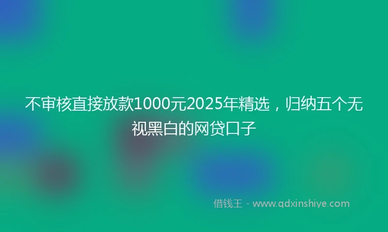 不审核直接放款1000元2025年精选，归纳五个无视黑白的网贷口子