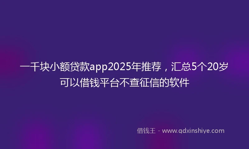 一千块小额贷款app2025年推荐，汇总5个20岁可以借钱平台不查征信的软件