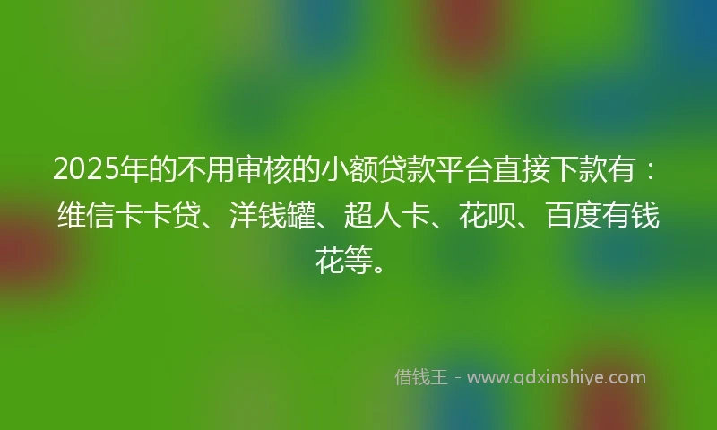 2025年的不用审核的小额贷款平台直接下款有：维信卡卡贷、洋钱罐、超人卡、花呗、百度有钱花等。