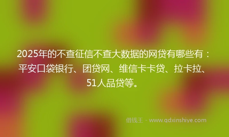 2025年的不查征信不查大数据的网贷有哪些有：平安口袋银行、团贷网、维信卡卡贷、拉卡拉、51人品贷等。