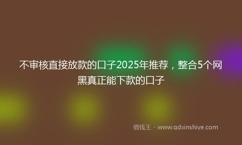 不审核直接放款的口子2025年推荐，整合5个网黑真正能下款的口子