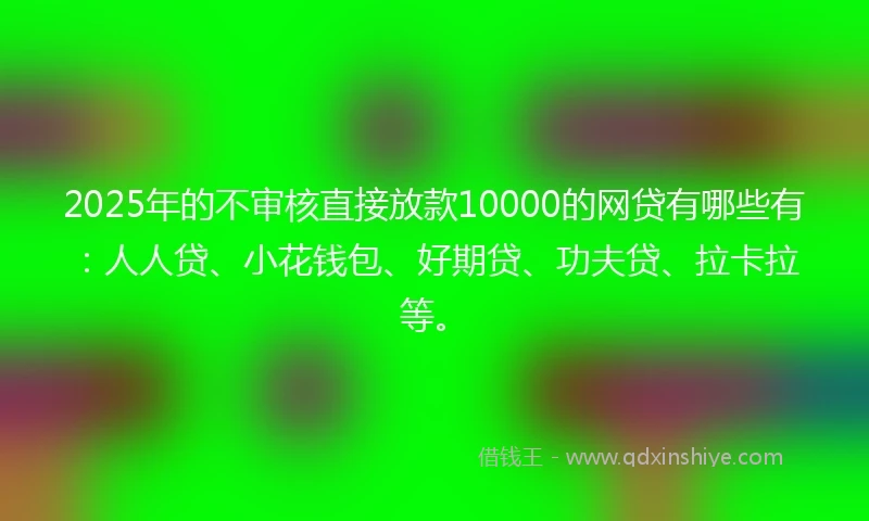 2025年的不审核直接放款10000的网贷有哪些有：人人贷、小花钱包、好期贷、功夫贷、拉卡拉等。