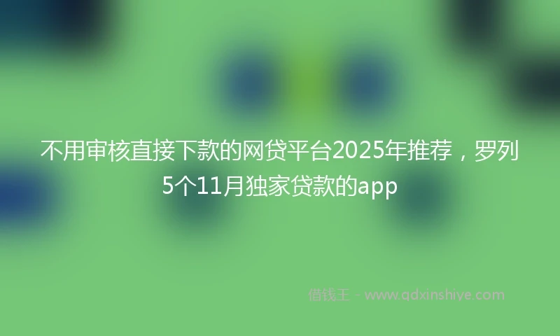 不用审核直接下款的网贷平台2025年推荐，罗列5个11月独家贷款的app