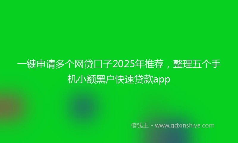 一键申请多个网贷口子2025年推荐，整理五个手机小额黑户快速贷款app