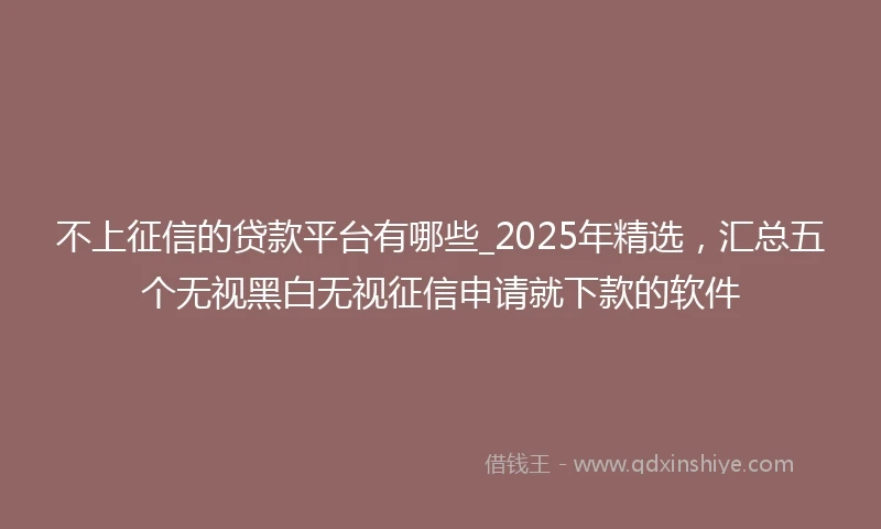 不上征信的贷款平台有哪些_2025年精选,汇总五个无视黑白无视征信申请就下款的软件