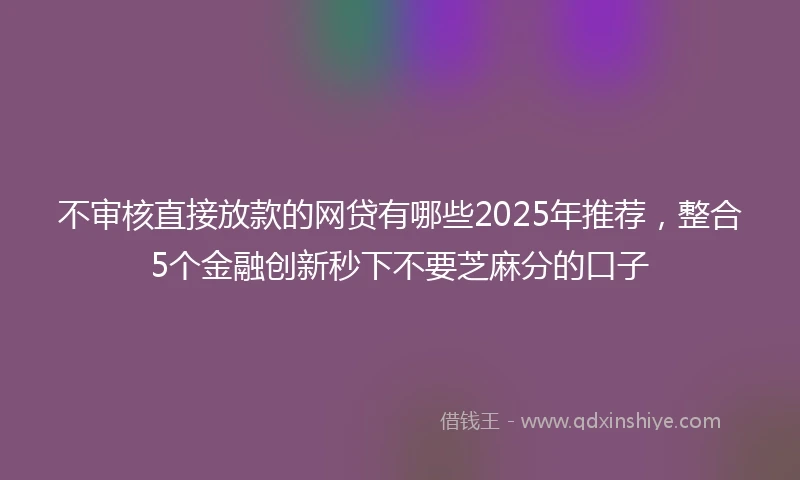 不审核直接放款的网贷有哪些2025年推荐，整合5个金融创新秒下不要芝麻分的口子
