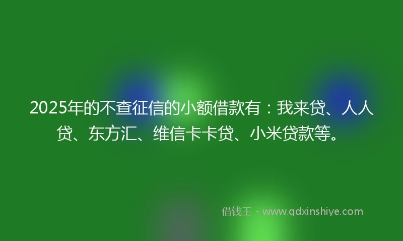 2025年的不查征信的小额借款有：我来贷、人人贷、东方汇、维信卡卡贷、小米贷款等。