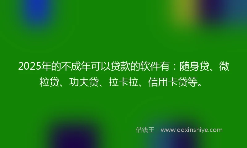 2025年的不成年可以贷款的软件有：随身贷、微粒贷、功夫贷、拉卡拉、信用卡贷等。