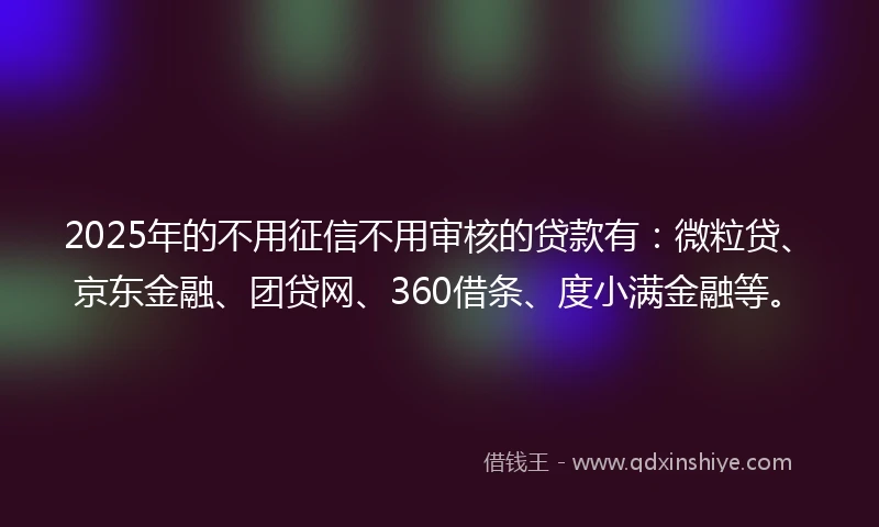2025年的不用征信不用审核的贷款有：微粒贷、京东金融、团贷网、360借条、度小满金融等。