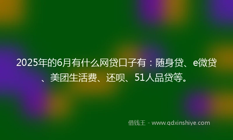 2025年的6月有什么网贷口子有：随身贷、e微贷、美团生活费、还呗、51人品贷等。
