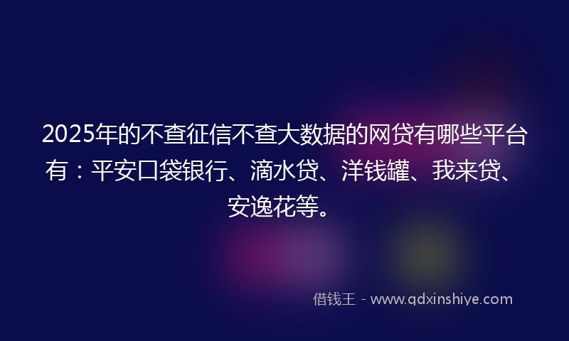 2025年的不查征信不查大数据的网贷有哪些平台有：平安口袋银行、滴水贷、洋钱罐、我来贷、安逸花等。