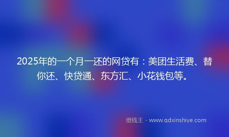2025年的一个月一还的网贷有：美团生活费、替你还、快贷通、东方汇、小花钱包等。