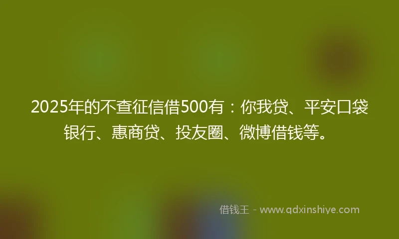 2025年的不查征信借500有：你我贷、平安口袋银行、惠商贷、投友圈、微博借钱等。
