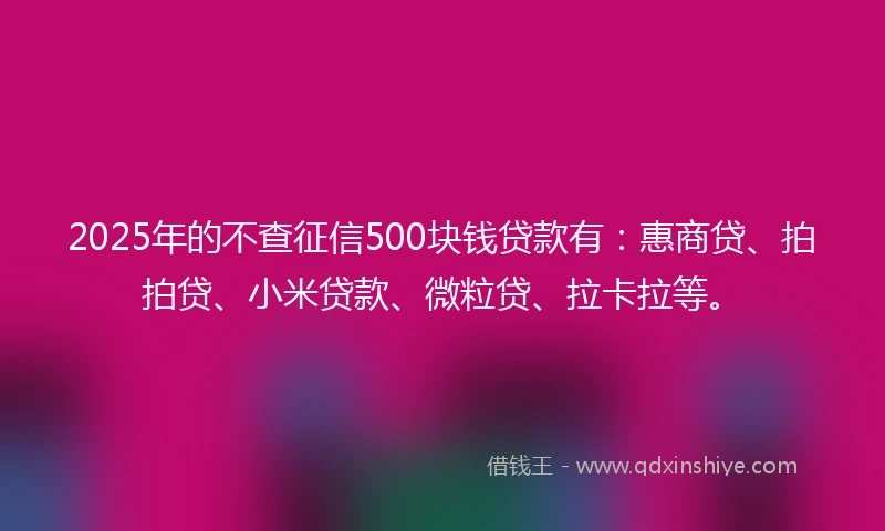 2025年的不查征信500块钱贷款有：惠商贷、拍拍贷、小米贷款、微粒贷、拉卡拉等。
