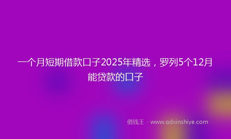 一个月短期借款口子2025年精选，罗列5个12月能贷款的口子