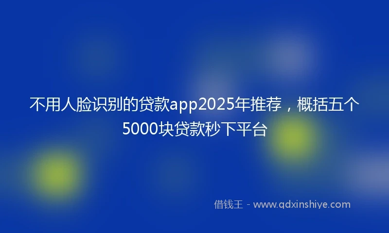 不用人脸识别的贷款app2025年推荐，概括五个5000块贷款秒下平台