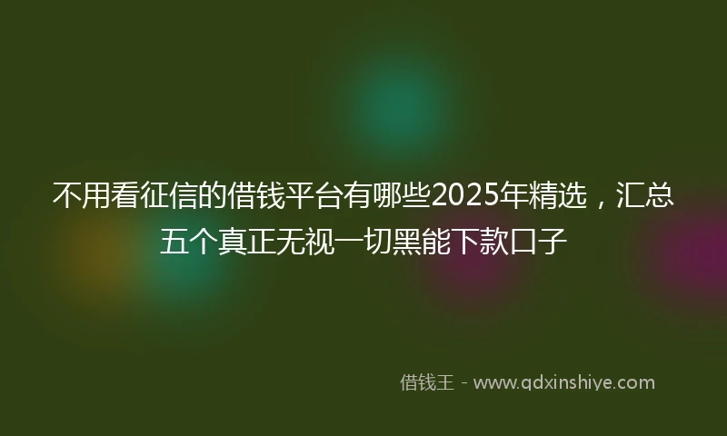 不用看征信的借钱平台有哪些2025年精选，汇总五个真正无视一切黑能下款口子