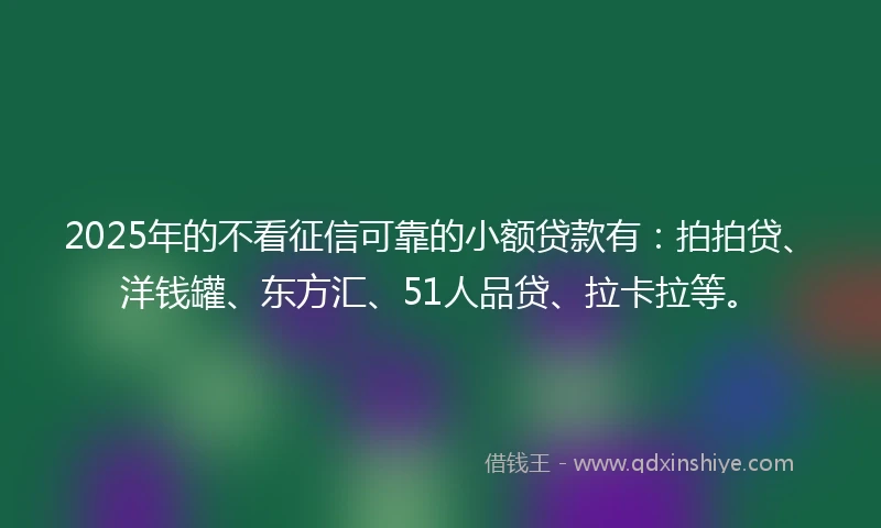 2025年的不看征信可靠的小额贷款有：拍拍贷、洋钱罐、东方汇、51人品贷、拉卡拉等。