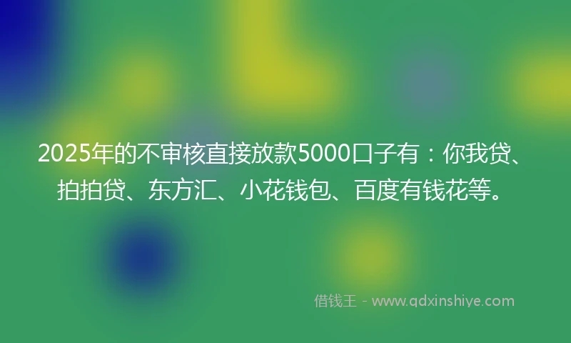 2025年的不审核直接放款5000口子有：你我贷、拍拍贷、东方汇、小花钱包、百度有钱花等。