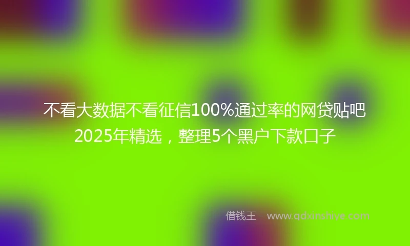 不看大数据不看征信100%通过率的网贷贴吧2025年精选，整理5个黑户下款口子