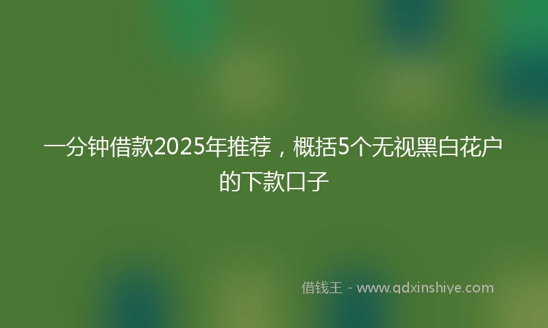 一分钟借款2025年推荐，概括5个无视黑白花户的下款口子