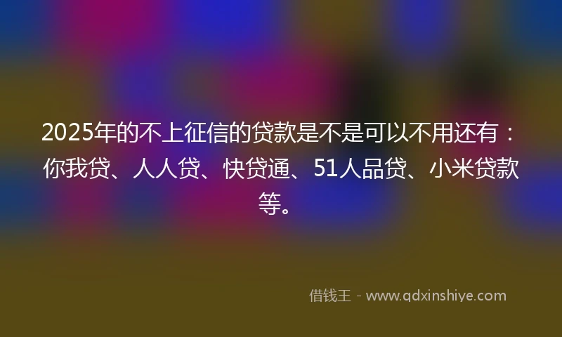 2025年的不上征信的贷款是不是可以不用还有：你我贷、人人贷、快贷通、51人品贷、小米贷款等。