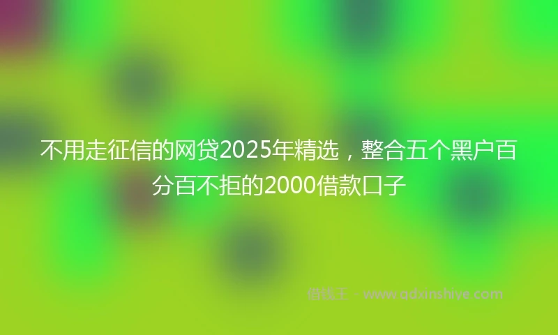 不用走征信的网贷2025年精选，整合五个黑户百分百不拒的2000借款口子