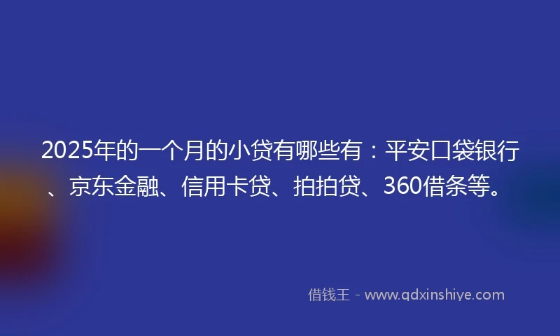 2025年的一个月的小贷有哪些有：平安口袋银行、京东金融、信用卡贷、拍拍贷、360借条等。