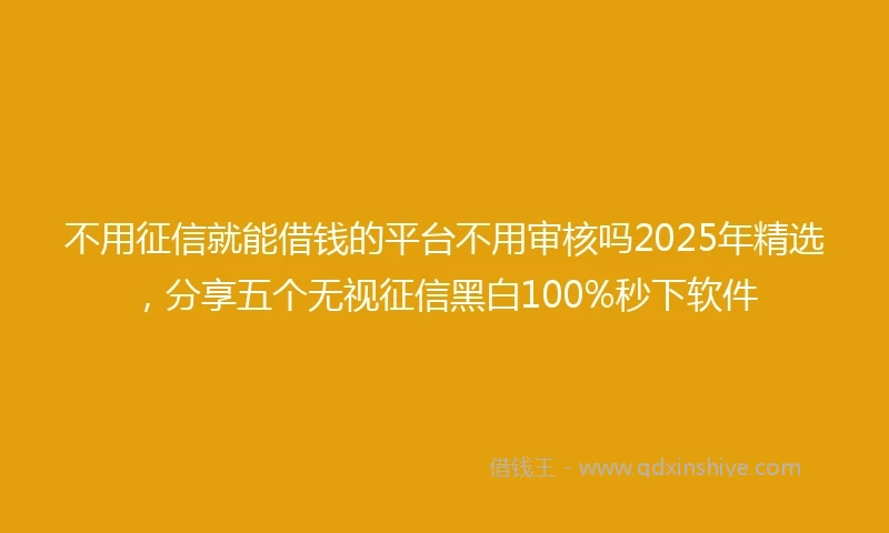 不用征信就能借钱的平台不用审核吗2025年精选，分享五个无视征信黑白100%秒下软件