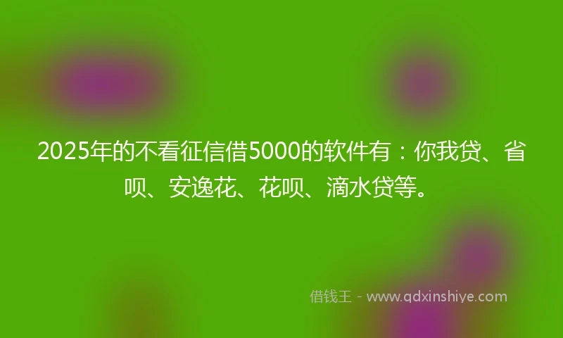 2025年的不看征信借5000的软件有：你我贷、省呗、安逸花、花呗、滴水贷等。