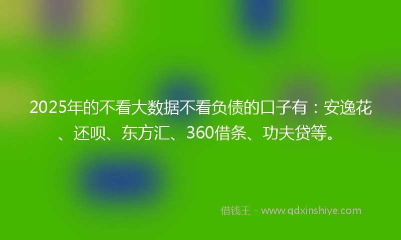 2025年的不看大数据不看负债的口子有：安逸花、还呗、东方汇、360借条、功夫贷等。