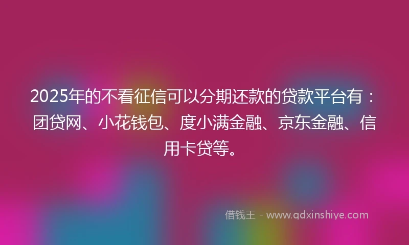 2025年的不看征信可以分期还款的贷款平台有：团贷网、小花钱包、度小满金融、京东金融、信用卡贷等。