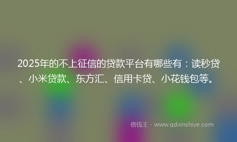 2025年的不上征信的贷款平台有哪些有：读秒贷、小米贷款、东方汇、信用卡贷、小花钱包等。