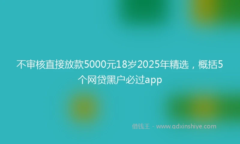 不审核直接放款5000元18岁2025年精选，概括5个网贷黑户必过app