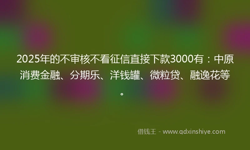 2025年的不审核不看征信直接下款3000有:中原消费金融、分期乐、洋钱罐、微粒贷、融逸花等。
