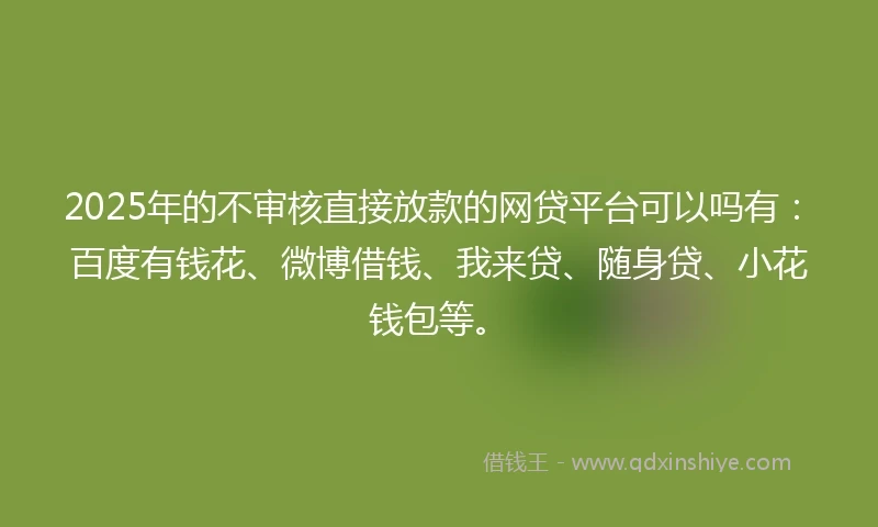 2025年的不审核直接放款的网贷平台可以吗有：百度有钱花、微博借钱、我来贷、随身贷、小花钱包等。
