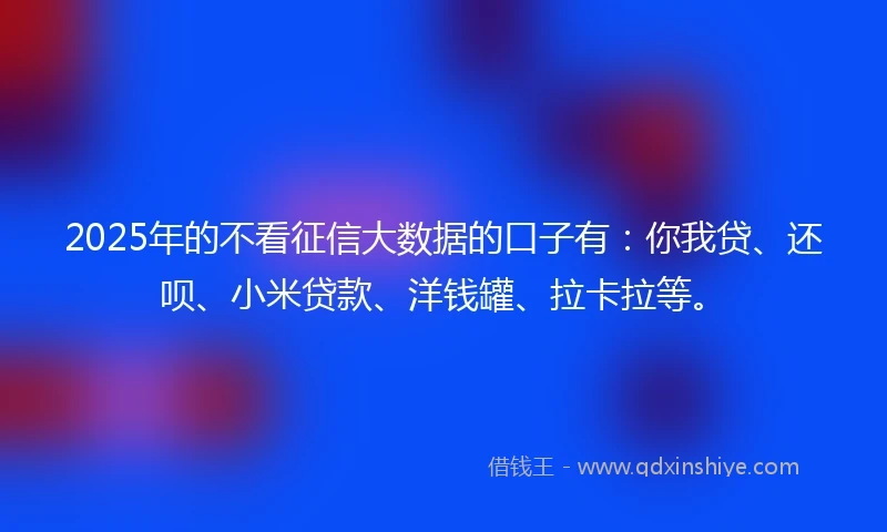 2025年的不看征信大数据的口子有：你我贷、还呗、小米贷款、洋钱罐、拉卡拉等。