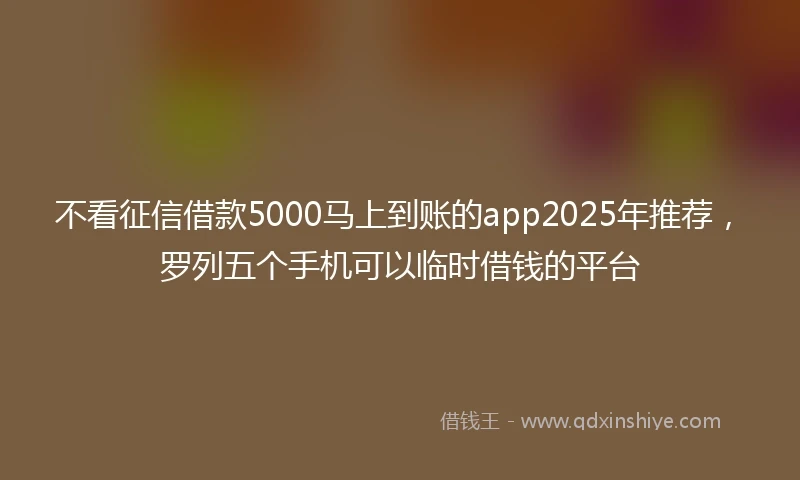 不看征信借款5000马上到账的app2025年推荐，罗列五个手机可以临时借钱的平台